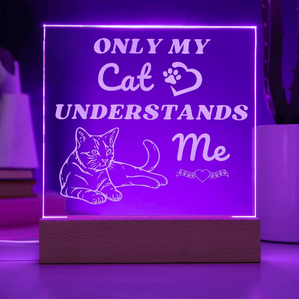 Only My Cat Understands Me - Engraved Acrylic Square Plaque LED Night Light - Pet Lovers - Valentine's Day - Gift for Pet Owners - Cat Lovers Birthday