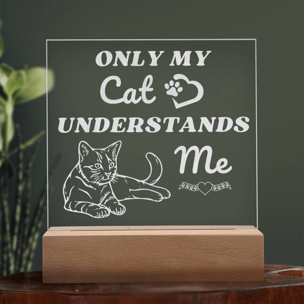 Only My Cat Understands Me - Engraved Acrylic Square Plaque LED Night Light - Pet Lovers - Valentine's Day - Gift for Pet Owners - Cat Lovers Birthday