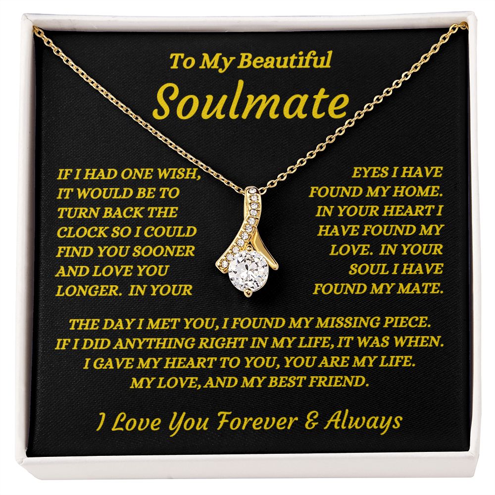 To My Beautiful Soulmate - The Day I Met You - Alluring Beauty Necklace