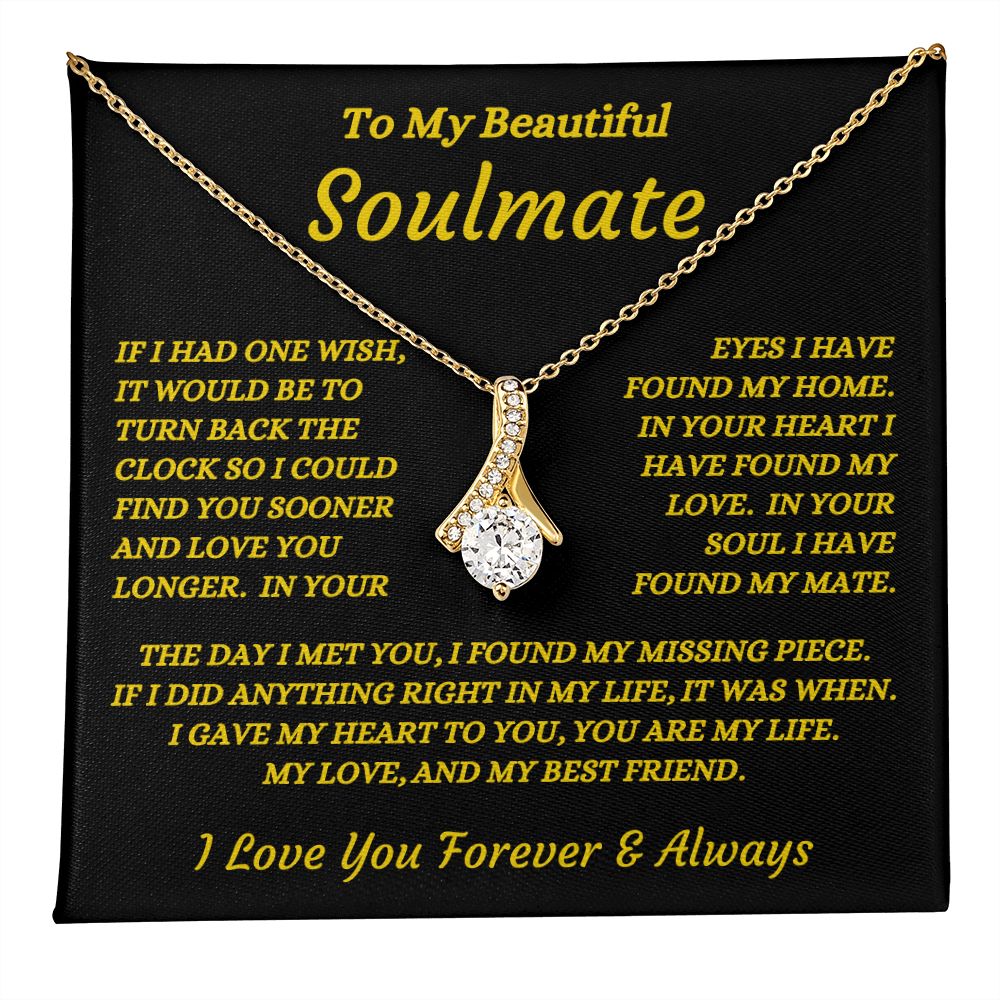 To My Beautiful Soulmate - The Day I Met You - Alluring Beauty Necklace