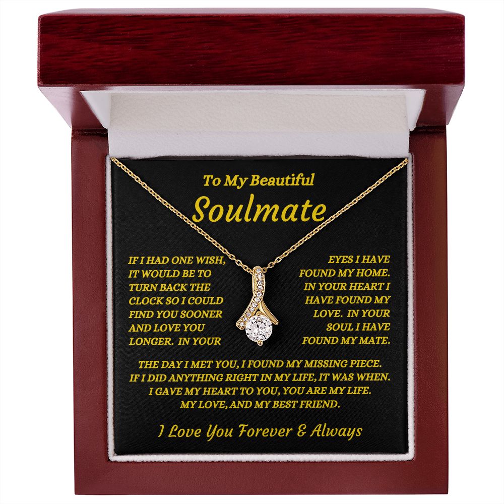 To My Beautiful Soulmate - The Day I Met You - Alluring Beauty Necklace