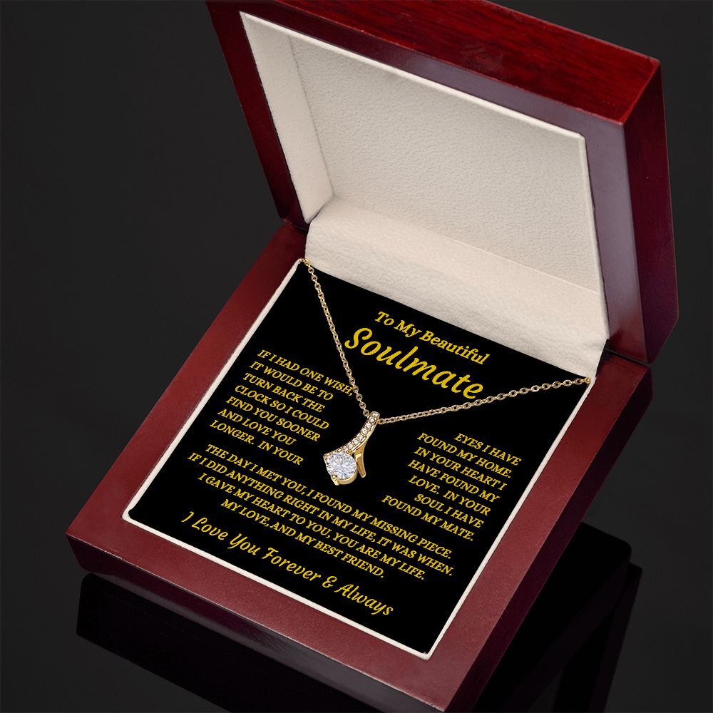 To My Beautiful Soulmate - The Day I Met You - Alluring Beauty Necklace