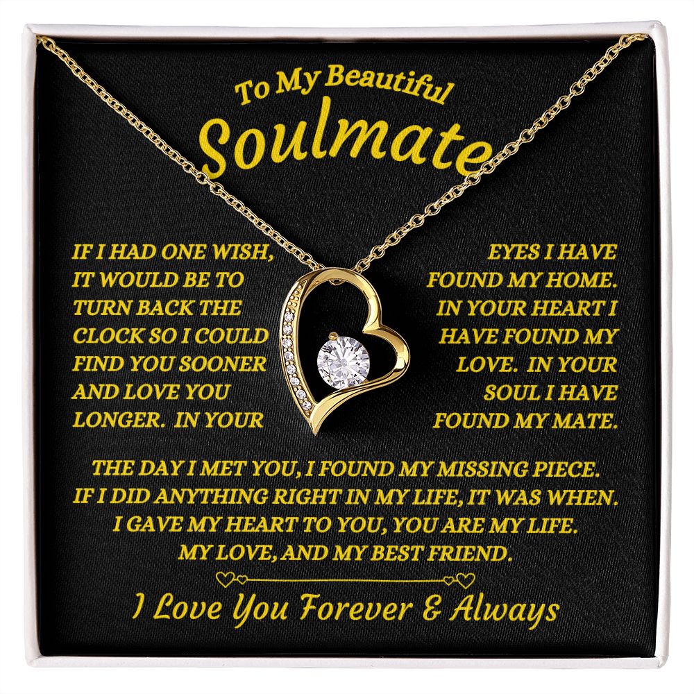 To My Beautiful Soulmate - The Day I Met You - Forever Love Necklace