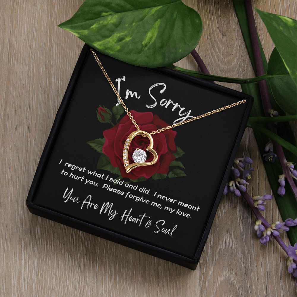 I'm Sorry - Please Forgive Me - Forever Love Necklace