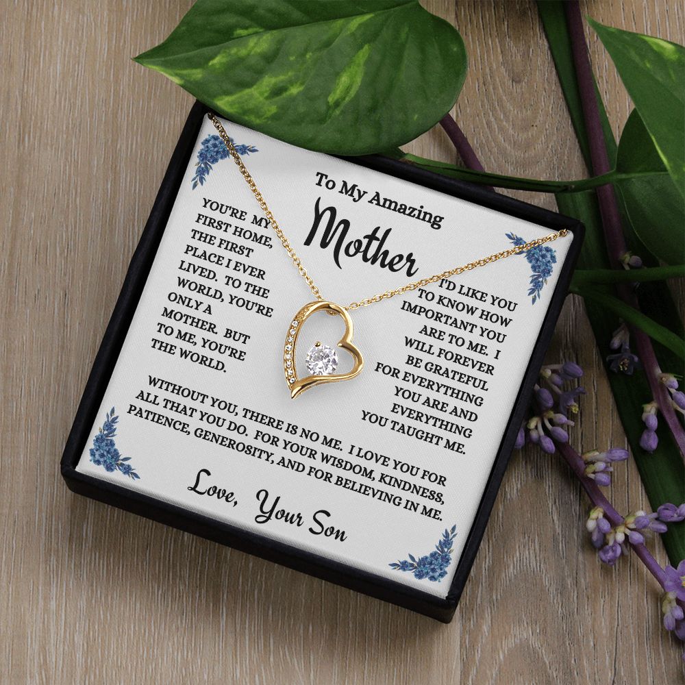 Son - To My Amazing Mother - You're My World - Forever Love Necklace